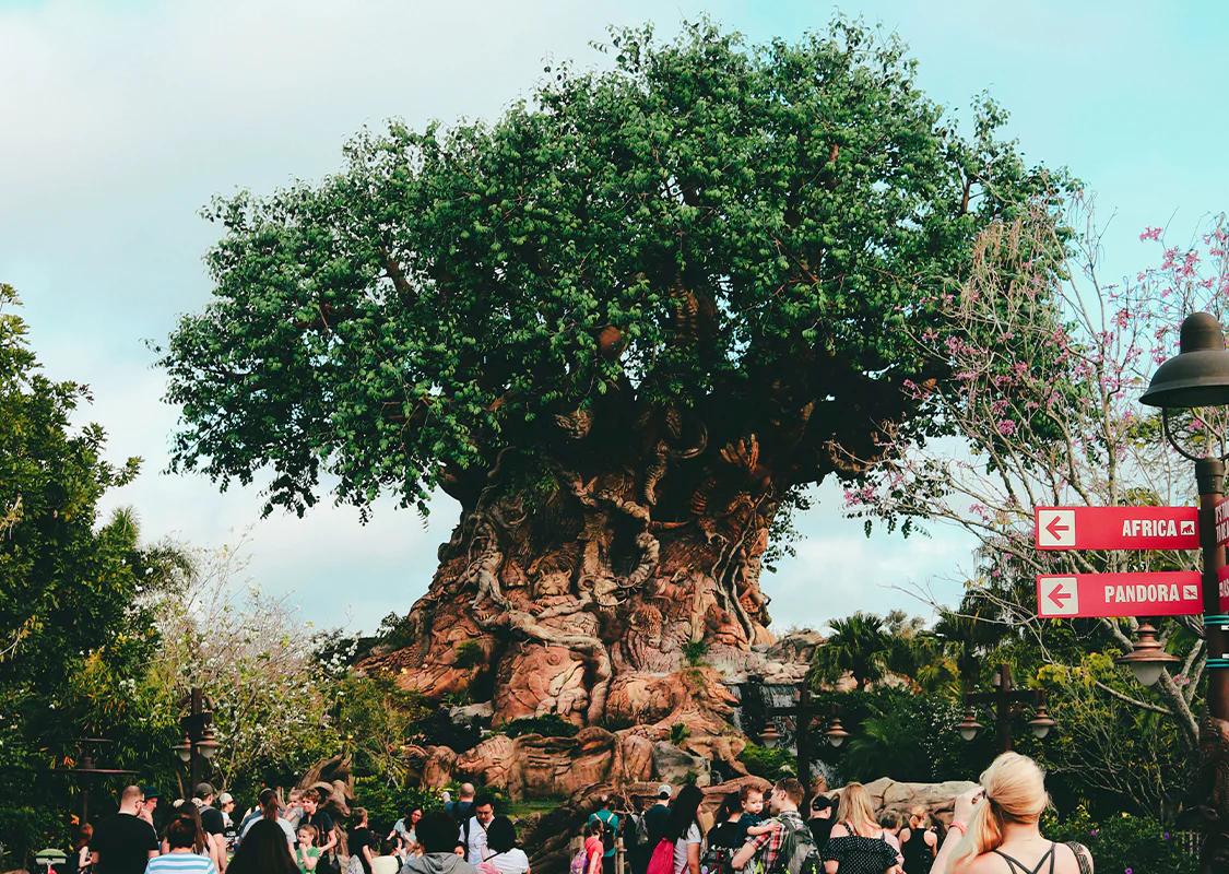 Win a Trip to Disney World - Image 4